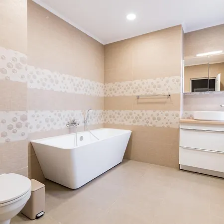 Downtown Calea Victoriei 100 Jacuzzi&sauna&bathtub Apartment *